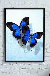 Postermanya (Pster11650) Hayvan Çerçeveli Tablo (40X50Cm) ürün görseli 1
