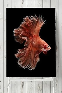 Postermanya (Pster8032) Sanatsal Balık Hayvan Posteri 40X60 Cm ürün görseli 1