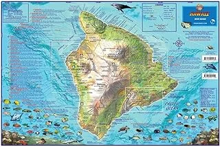 The Big Island Hawaii Dive & Snorkeling Laminated Map Poster ürün görseli 1