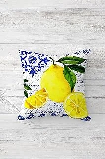 Pelangi Limon Yaprak Çift Tarafı Baskılı Gizli Fermuarlı Yastık Kılıfı Kırlent Koltuk Yastık Kılıfı, Sarı-Mavi-Yeşil 45 X 45 ürün görseli 1