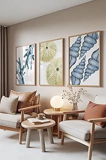 Zestia Ahşap Çerçeveli 3’Lü Tablo Seti, Deniz Koleksiyonu – Yeşil, Salon Set No: 30114 21 X 30 ürün görseli 1