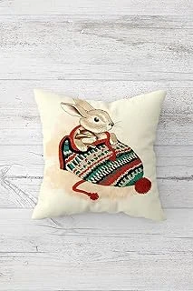 Pelangi Şapkada Tavşanlı Çift Tarafı Baskılı Gizli Fermuarlı Çocuk Oda Kırlent Koltuk Yastık Kılıfı, Kahve-Krem 45 X 45, 2469104245451 ürün görseli 1