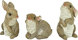Toscano Qm92008 The Bunny Den Rabbits İç/Dış Mekan Bahçe Hayvan Heykelleri, 9,5 Cm Genişliğinde, 10,5 Cm Derinliğinde, Tam Renkli Kaplama ürün görseli 1