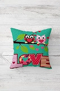 Pelangi Baykuş Love Yazılı Çift Tarafı Baskılı Gizli Fermuarlı Yastık Kılıfı Kırlent Koltuk Yastık Kılıfı, Yeşil 45 X 45, 2469145445451 ürün görseli 1