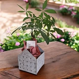 Dekoratif Keçe Saksı Organizer Sepet – Gri, 20X20X25 Cm, 3 Mm Kalınlıkta Çok Amaçlı Keçe Saklama Kutusu (1 Adet) ürün görseli 1