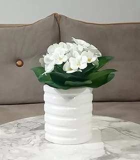 Vazo Dahil, Vazoda Çiçek, Beyaz Yapay Çiçek, Dekoratif Oval Çizgili Vazo 9X6X16Cm ürün görseli 1