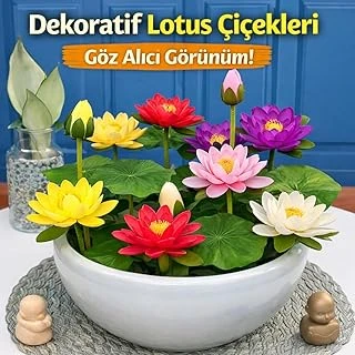 Lotus Çiçeği 5 Adet – Nilüfer Çiçeği Nadir Kutsal Lotus ürün görseli 1