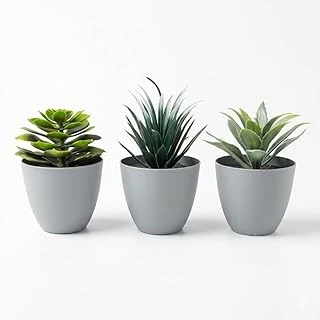 3’Lü Yapay Sukulent Bitki Seti – Saksılı Dekoratif Masaüstü Yapay Bitkiler, Ev Ofis Dekoru Için Mini Saksı Bitki Seti (8 Cm) ürün görseli 1