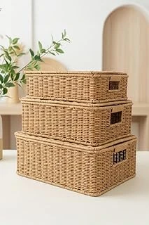 Digithome 3'Lü Kapaklı Hasır Rattan Organizer Sepet - Bb6065 ürün görseli 1
