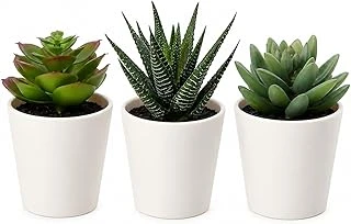 Fejka Yapay Saksı Bitkisi Saksılı İç Mekan Dış Mekan Etli / 3'Lü Paket Boyutu 2 ¼ " 3'Lü Paket 203.953.31 ürün görseli 1