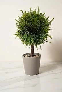 Top Formlu Yapay Çam Bonsai, Taş Dolgulu Gri Saksıda Mini Ağaç, Çalışma Masası Raf Dekorasyonu ürün görseli 1