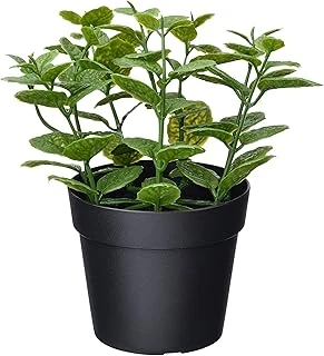 Yapay Bitki, Yeşil, 9 Cm, Nane, Iç/Dış Mekan ürün görseli 1