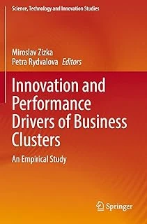 Innovation And Performance Drivers Of Business Clusters: An Empirical Study ürün görseli 1