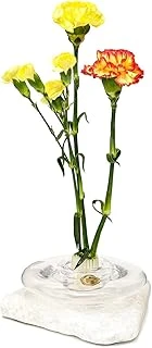 Flora Design-Balance Series Şeffaf Cam Vazo ürün görseli 1