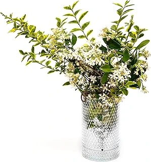Mi̇ssi̇ Diamond Cam Vazo/Mumluk (17 Cm) ürün görseli 1