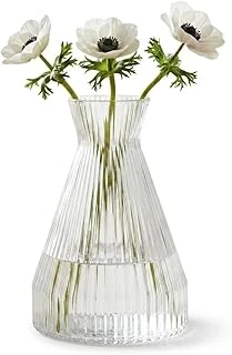 Deconox Pure Model Şeffaf Cam Vazo - Optikli (Çizgili) Dokulu, Dekoratif Çiçeklik Masa Üstü Vazo (22X15 Cm) ürün görseli 1