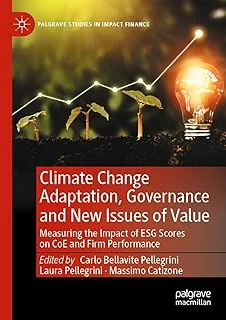 Climate Change Adaptation, Governance And New Issues Of Value: Measuring The Impact Of Esg Scores On Coe And Firm Performance ürün görseli 1