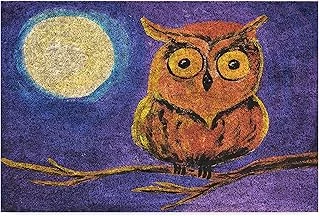 Monnhein Tasarımlı Dekoratif Kapı Önü Paspas, Dış Mekan/Ev İçi/Banyo/Mutfak/Yatak Odası/Giriş Paspasları (Gece Baykuş, 45X70) ürün görseli 1