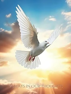 Always In Our Thoughts: Funeral Guest Book - Flying In The Sky Picture Cover ürün görseli 1