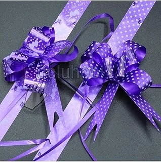 Paket Süsü Pratik Fiyonk 10'Lu 35 Cm Lila ürün görseli 1