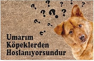 Monnhein Komik Tasarımlı Dekoratif Kapı Önü Paspas, Dış Mekan/Ev İçi/Banyo/Mutfak/Yatak Odası/Giriş Paspasları (Umarım Köpeklerden Hoşlanıyorsundur, 45X70) ürün görseli 1