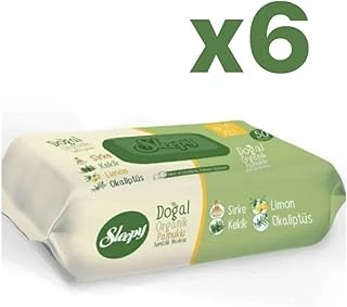 Sleepy Doğal Organik Pamuklu Temizlik Mendili 6X50 ürün görseli 1