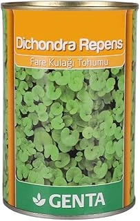 Genta Dichondra Repens Çim 250 Gr ürün görseli 1