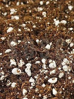 Substrat Light Mix Ithal Sphangum Torfu Cocopeat Perlit Özel Karışım Saksı Harcı Çiçek Bitki Toprağı 10 Lt ürün görseli 1
