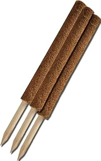 Gardener Kks080 Koko Sarmaşık Çubuğu - 80 Cm ürün görseli 1