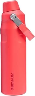 Iceflow Fast Flow Kırmızı Soğuk Su Termosu | 0.7L ürün görseli 1