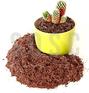 Hindistan Cevizi Torfu%100 Doğal Torf - Cocopeat Hindistan Cevizi Lifi - Doğal Bitki Toprağı 10 Lt ürün görseli 1