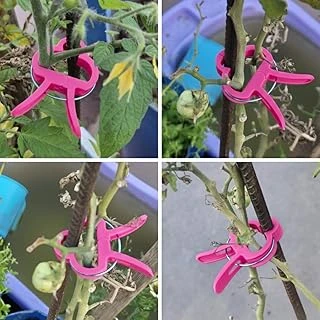 Bitki Bağlama Destek Mandalı 10 Adet Orta Boy (Pembe) ürün görseli 1
