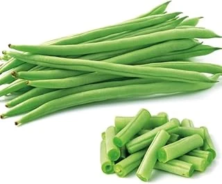 Fasulye Magnum Oturak (Çoklu Tohum) - 25 Gram ürün görseli 1