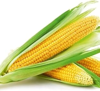 Misir Tatli (Çoklu Tohum) - 10 Gram ürün görseli 1