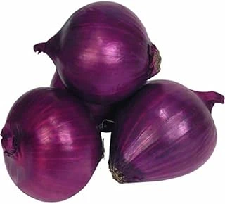 Mor Soğan (Çoklu Tohum) - 3 Gram ürün görseli 1