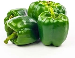 Dolma Bi̇ber Kandi̇l (Çoklu Tohum) - 5 Gram ürün görseli 1