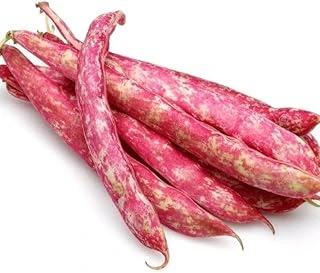 Barbunya (Çoklu Tohum) - 25 Gram ürün görseli 1