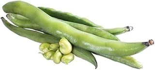 Bakla (Çoklu Tohum) - 50 Gram ürün görseli 1
