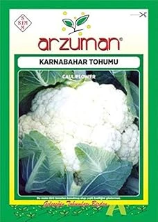 Karnabahar ürün görseli 1