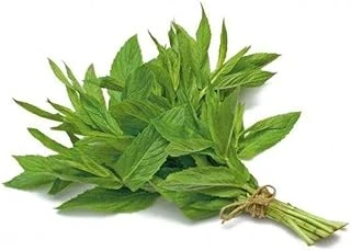 Nane (Çoklu Tohum) - 3 Gram ürün görseli 1