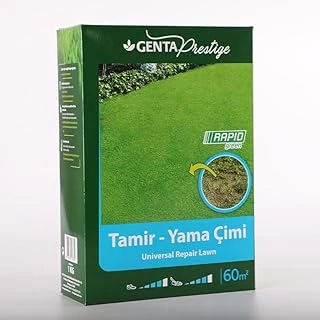 Genta Prestige Tamir Yama Çim 1 Kg ürün görseli 1