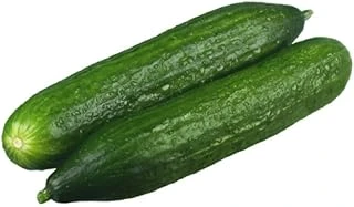Salatalik Beith Alpha İthal (Çoklu Tohum) - 5 Gram ürün görseli 1