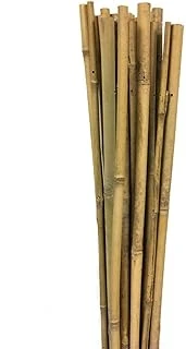 Gardener 63717 Bambu Destek Çubuğu 10'Lu - 12-14 Mm X 150 Cm ürün görseli 1