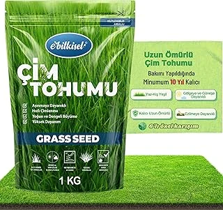 Çok Yıllık Çim 1 Kg Uzun Ömürlü 6'Lı Karışım Gölge Aşırı Güneşli Alan Uygun Yetiştirilmesi Kolay 4 Mevsim Yeşil ürün görseli 1