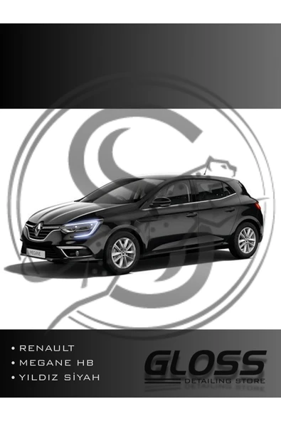 Renault Megane Uyumlu Yıldız Siyah GNE - Profesyonel Çizik Ve Taş İzi Giderici Rötuş Boyası 30ml. ürün görseli 1
