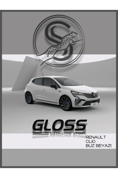 Renault Clio 369 Uyumlu Buz Beyazı - Profesyonel Çizik Ve Taş izi Giderici Rötuş Boyası 30ml. ürün görseli 1