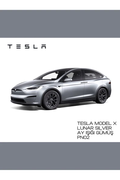 Tesla Model X Lunar Silver (AYIŞIĞI GÜMÜŞ) Pn02 - Profesyonel Rötuş Boyası 30ml. ürün görseli 1