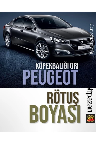 PEUGEOT 208, 301, 308, 3008, RCZ Köpekbalığı Gri - 9P/ KTP - Rötuş Boyası 20 ml ürün görseli 1