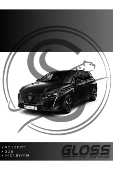 Peugeot 308/e308 İnci Siyah KTV - Profesyonel Çizik Ve Taş izi Giderici Rötuş Boyası 20ml. ürün görseli 1