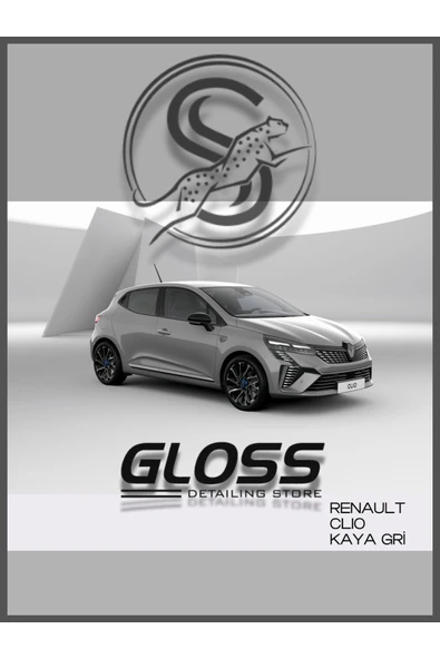Renault Clio KQJ Uyumlu Kaya Gri - Çizik Ve Taş izi Giderici Rötuş Boyası 30ml. ürün görseli 1
